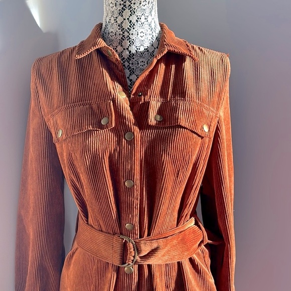 Urban Outfitters Corduroy Burnt Orange Long Sleeve Tie Dress - Picture 2 of 12